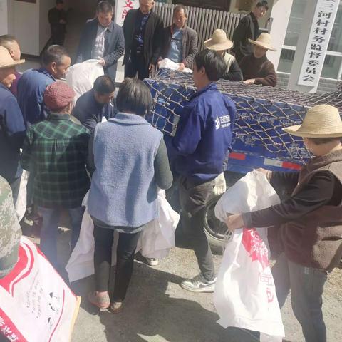 发展生猪产业 助力乡村振兴（四十四）