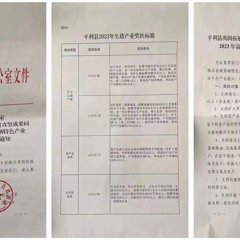 发展生猪产业 助力乡村振兴（ 二十一）