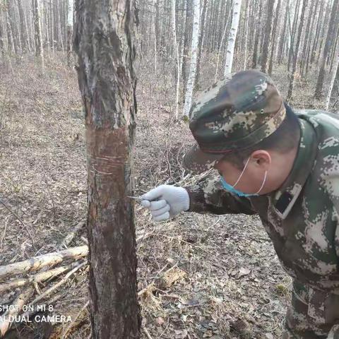 湖通河管护区—刘晓的美篇