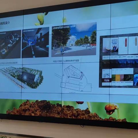 太空种子种植介绍