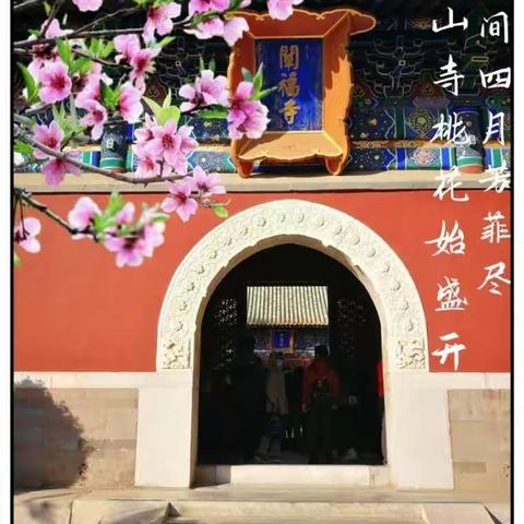 桃之夭夭，灼灼其华。