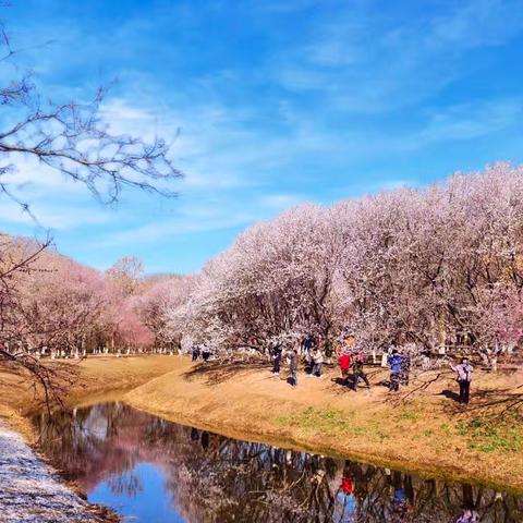 奥森北园桃花沟摄影采风小记