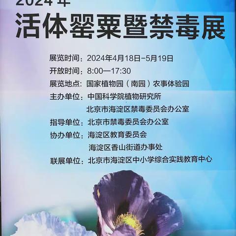 美丽的诱惑——罂粟花