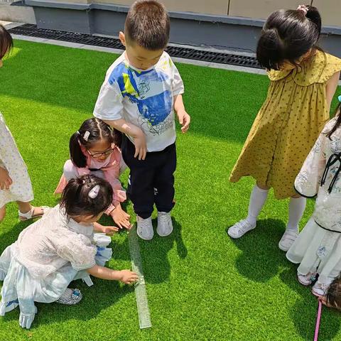 夏日如诗，悄然而至