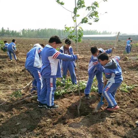 建设绿色家园，我们也来出份力