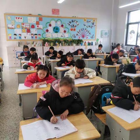 海量阅读增底蕴，校园书香润心田