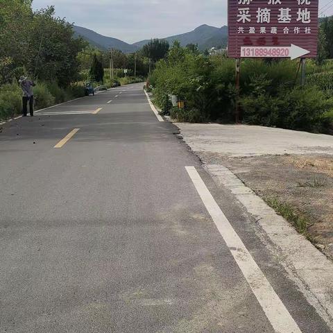 坞西村猕猴桃采摘园开始采摘了