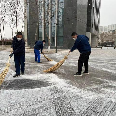 大雪纷飞美如画  物业扫雪暖人心