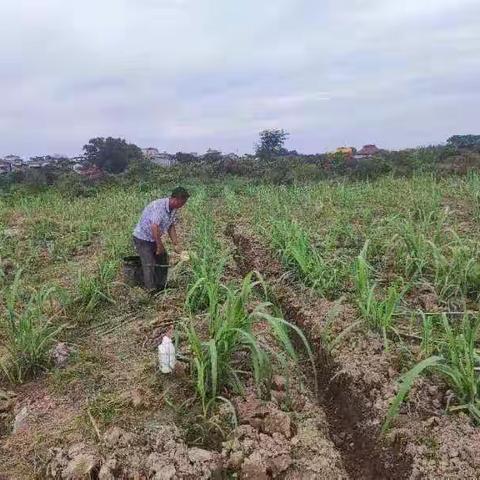 扶残助残，我们一直在路上！