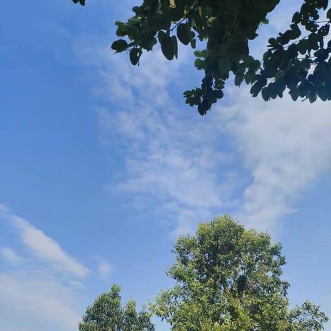 父母规百日行动第44天