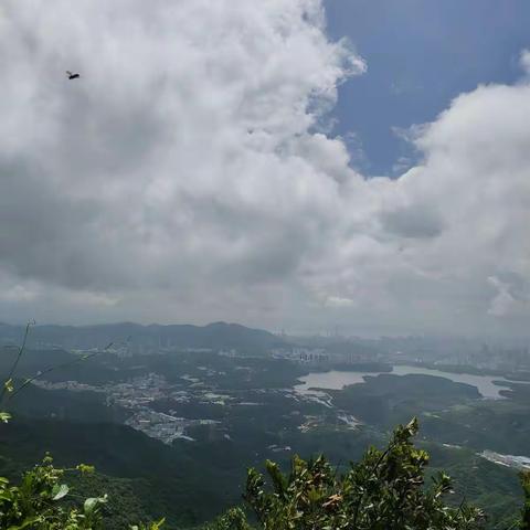 父母规百日行动第6天