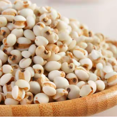 向各位干燥综合症患者介绍一味干燥综合症患者宜吃食物与饮食疗方——薏苡仁