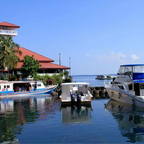 潜水美娜多（回顾篇）