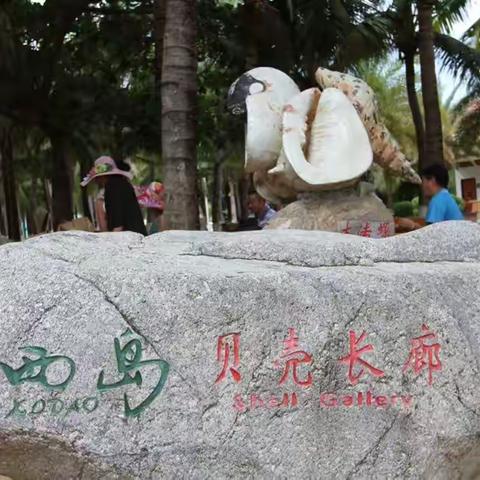 西岛贝壳长廊