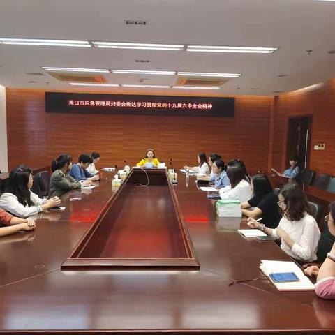 海口市应急管理局妇女委员会传达学习贯彻党的十九届六中全会精神