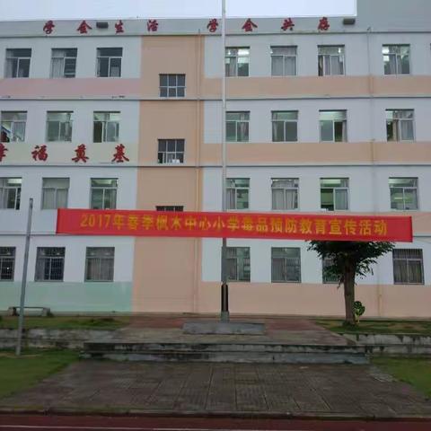 禁毒宣传进校园——枫木中心小学禁毒宣传活动