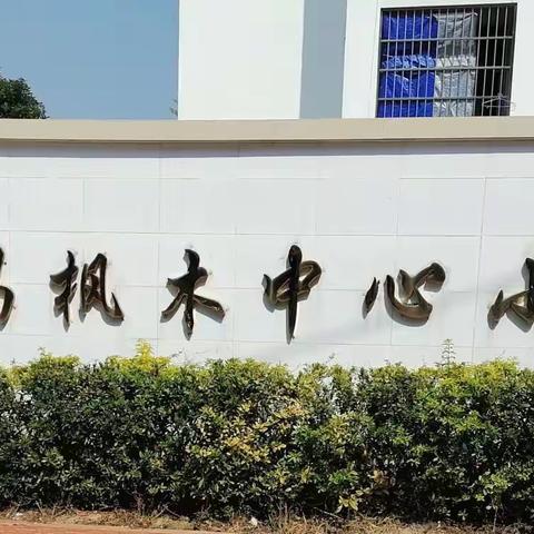 枫木小学第七周集体备课