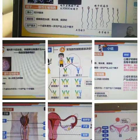 七年级科学第一课新生命的诞生