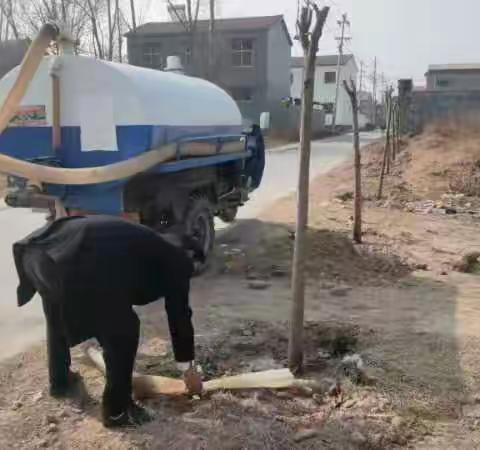 【“三零”创建 平安曹岗】曹岗乡组织开展苗木浇水养护行动