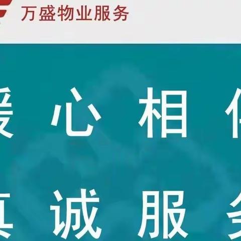 银湖湾2022年5月份工作月报