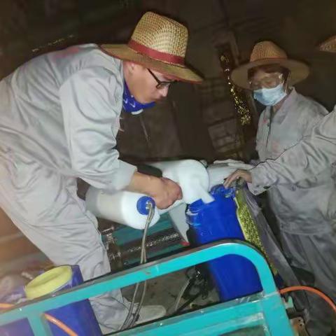 除“四害”    保健康