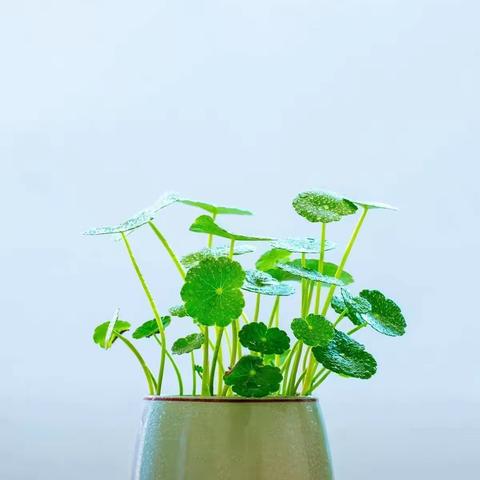 延期不延学！我们一直在线上学习！！红沙沟中学七年级四班崔王玮的美篇