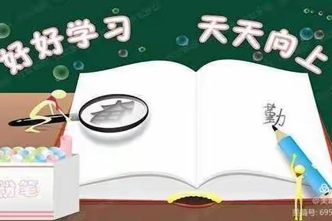 不负韶华，砥砺奋进--盐镇乡北册小学阶段展示纪实