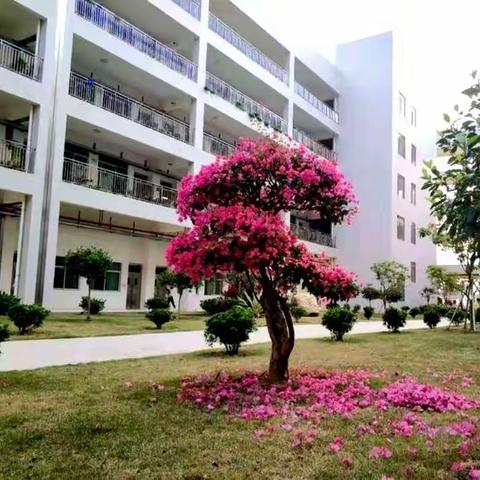 春在人间，美在高文——记高州市高文小学一（13）班志愿者活动