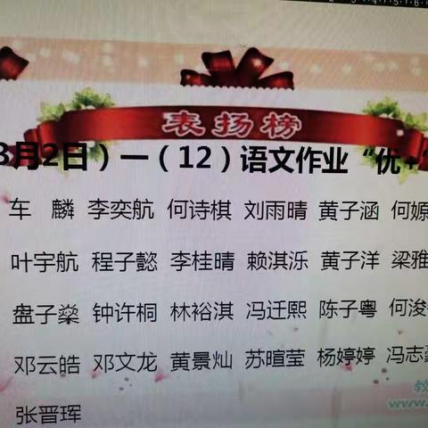 不负好韶光——小可爱的居家日常