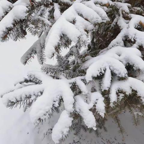 二0二三年的第二场雪比第一场厚一些