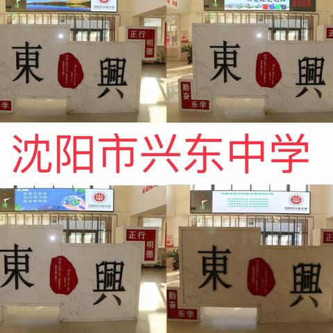 垃圾分类   环境更美-----沈阳市兴东中学元旦期间分类宣教活动纪实