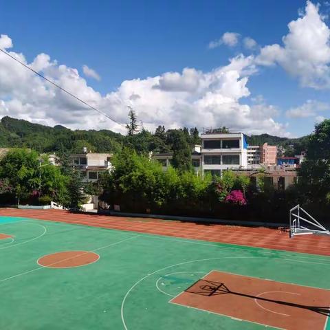 紫云自治县白石岩小学周报