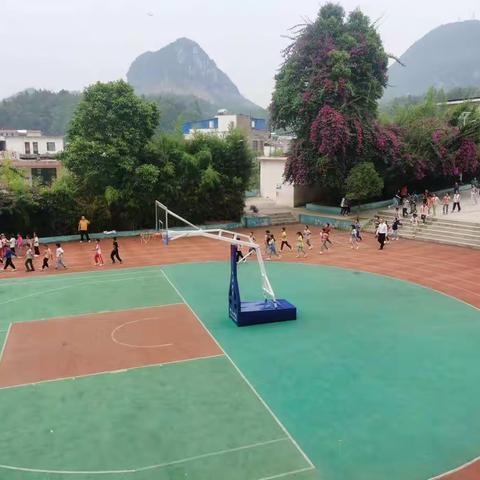 白石岩小学工作周报