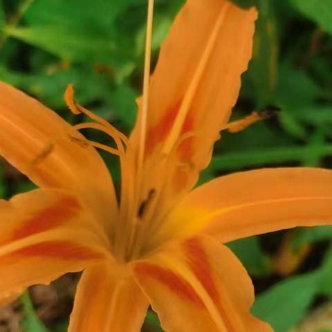 让自己变好的方式