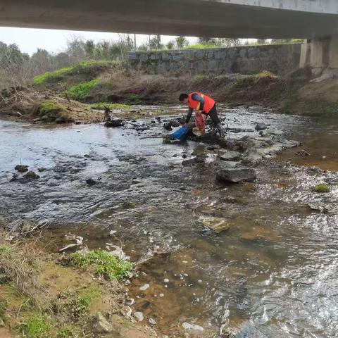 河道常保洁  水清景更美