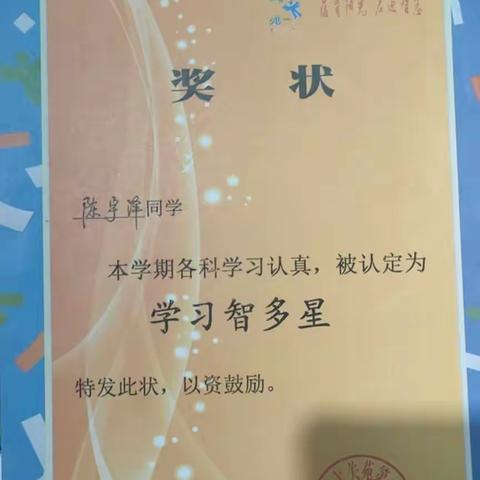 陈宇泽小学荣誉榜