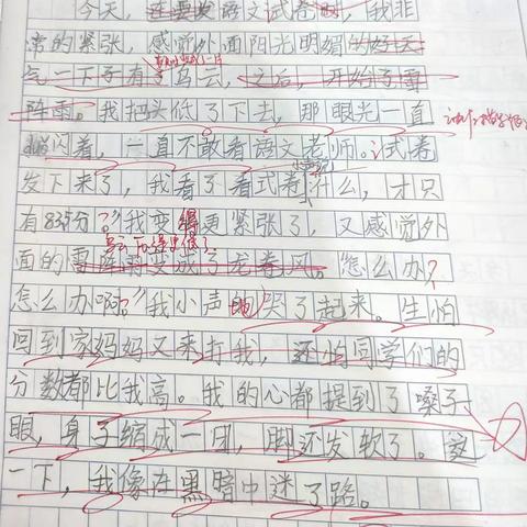 陈宇泽小学作文