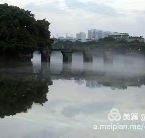 夏日·江南水乡（副本）