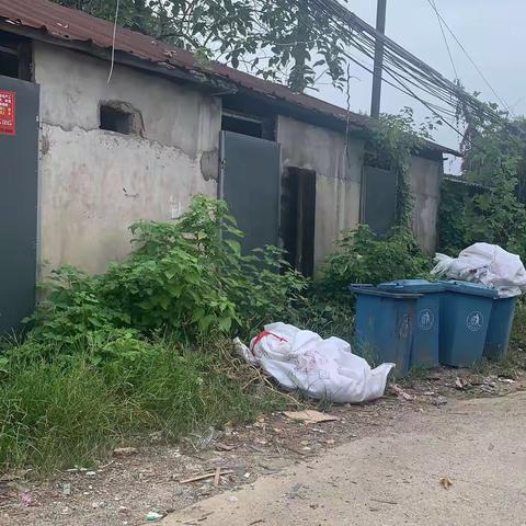 弋江镇环境卫生整改