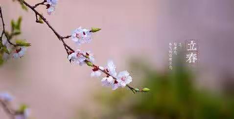 春暖花开日，教研进行时——滕州市第二实验小学全体语文老师参加教学研讨视频会议活动纪实
