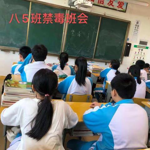 五指山中学八年级“珍爱生命，拒绝毒品”主题班会