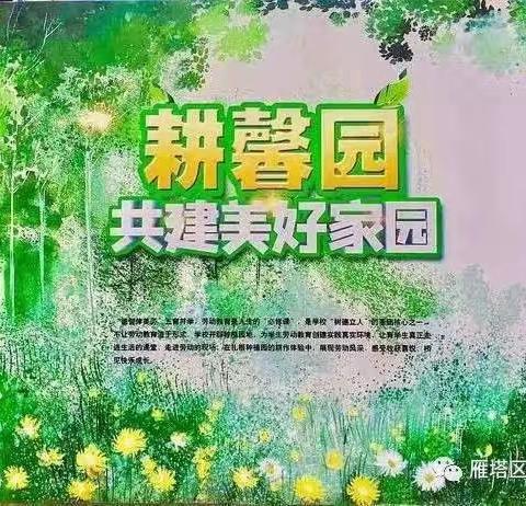 培养劳动情怀，成就美好未来——雁塔区北沈家桥小学劳动实践纪实