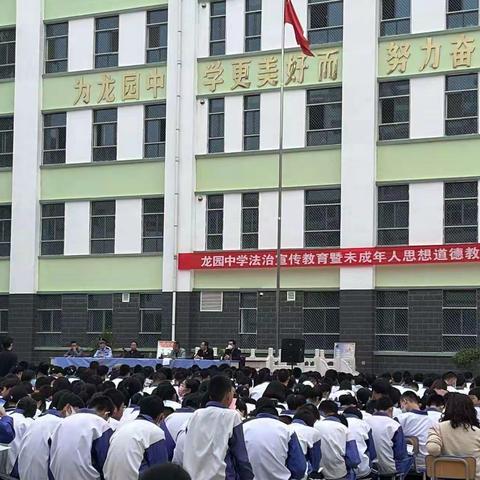 明礼守纪，学法用法，提高法治素养——龙园中学七一班学法侧记