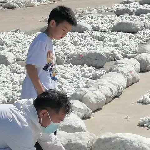 2022年秋天的颜色