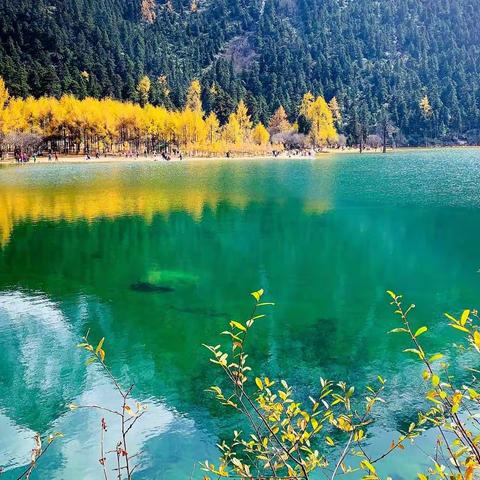 带着老妈去旅行—毕棚沟