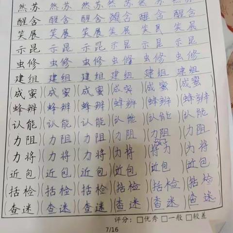 高玮晨的寒假生活