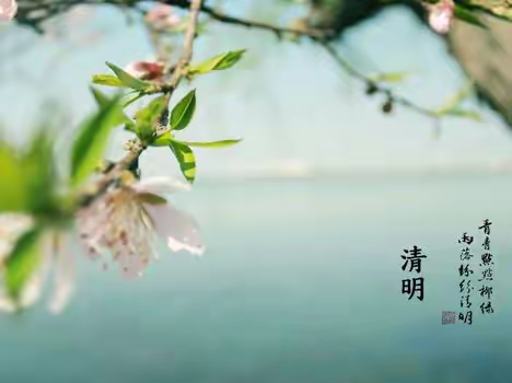 清明节放假通知