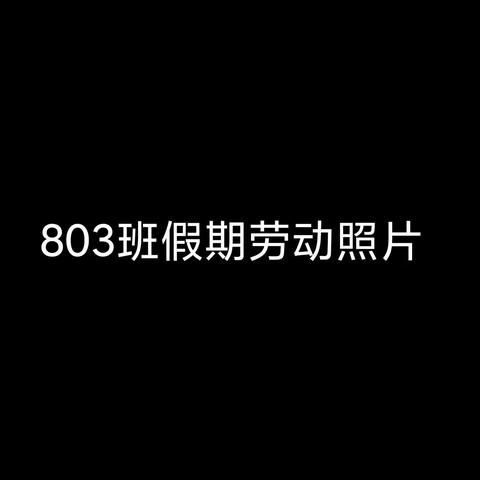 803班假期劳动成果