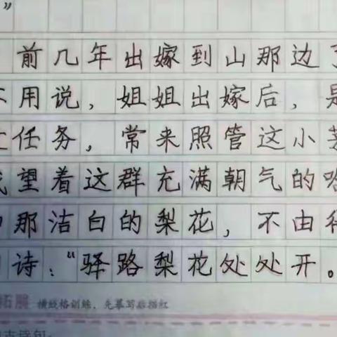 乐学组总结