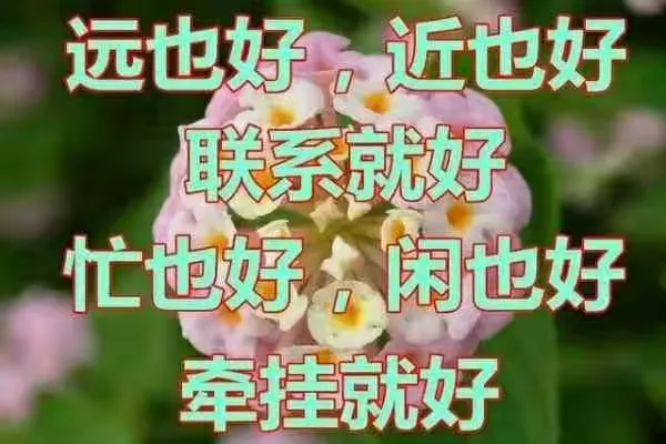 放不下的牵挂，经历不完的酸甜苦辣，又想你了